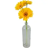 Countryfield Fles ro Dawn L helder
