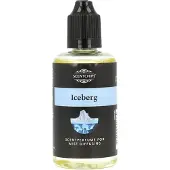 Scentchips Geurolie Iceberg 50 Ml