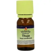 Volatile Thuja