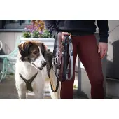 AnnyX Hondenriem-RUN FUN- ZILVER -hondenlijn -jogging-hardlopen-sportlijn -heuplijn -200cm