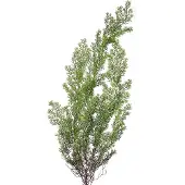 Clayre & Eef Kunstplant 100 cm Groen Kunststof