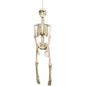 Coppens Decoratie skelet 92cm |