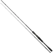 Daiwa Prorex Xr Baitcasting Rod Zilver 2.64 m / 100-250 g