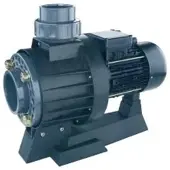 AstralPool 11509 Cciv 450t Pump For Double Model Zilver