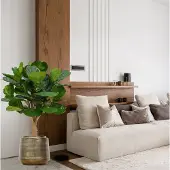 Maxifleur Kunstplanten Lyrata deluxe kunstplant op stam 125cm