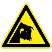Allesveilig.nl Stier
