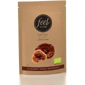 Feel Vivid Biologische Reishi Extract Poeder-