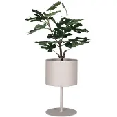 Nest of Nora Plantenstandaard op voet ø21,5x36 cm - Staal - Beige