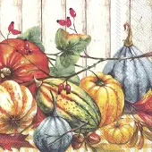 IHR Servetten "Country Pumpkins" 33x33 cm