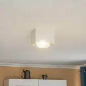 Argon Plafondspot Ronda, 1-lamp, wit Ronda , dimbaar, wit / opaal, Woon-/ Eetkamer, metaal, Modern, halogeen spot