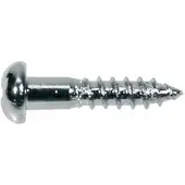 Boston WS-02-C Domekop Schroeven 2,1x10mm - 12 Stuks Chrome