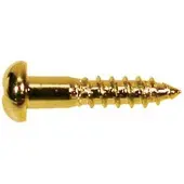 Boston WS-02-G Luxe Dome Hoofd Schroeven - 2,1x10mm (12 Stuks)