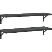 vidaXL Wandschappen 2 st 100x30 cm roestvrijstaal zwart