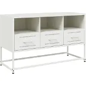 vidaXL Tv-meubel 100,5x39x60,5 cm staal wit