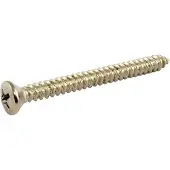 AllParts GS0005B01 Nikkel Nekplaat-Schroeven – 50 Stuks