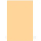 Boston PG-134-C pickguard material, 1 ply, 45x29cm, cream