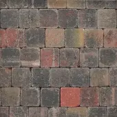 Intergard Trommelstenen of koppelstones bont 10x10x6cm (m2)