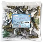 Safari Ltd Baby Sea Life Bulk Bag Figure Veelkleurig From 3 Years