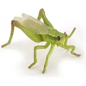 Papo -hand