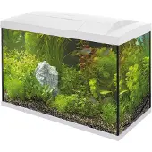 Superfish Aquarium Start 100 Tropical Kit Wit 100 L