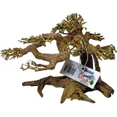 Superfish Bonsai Driftwood S aquaria