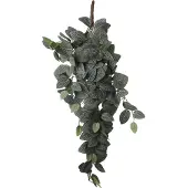 Mica Decorations Kunsthangplant Fittonia H 54 Cm