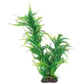 Superfish Aquarium Decoratie Kunstplant Microsorum Groen 8 X 12 X 40 Cm