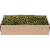 My Village Platmos Groen-Bruin 500G kerst