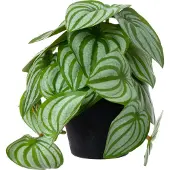 Intratuin Kunstplant Watermeloenplantje D 9 H 17 Cm