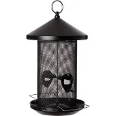 Intratuin Pindasilo Zwart D 19 H 28,5 Cm
