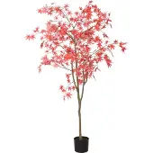 Decostar Countryfield Acer L rood
