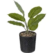 Atmosphera Kunstplant - Plant - H35cm - 2 Varianten - Nacht