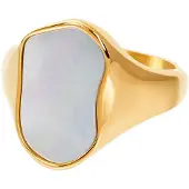 Ixxxi Fame Ring Isla | Goud