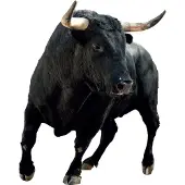 VAN IKKE Muursticker Stier