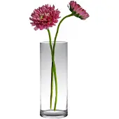 Newport bloemenvaas - Transparant - glas - D19 x H60 cm - Cilinder vormig - Vazen