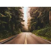 Living Walls Fotobehang Designwalls Road Trip (5-delig)
