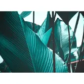 Living Walls Fotobehang Designwalls Leaf Stalks 2 (5-delig)