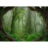 Living Walls Fotobehang Designwalls Tropical Forest (5-delig)
