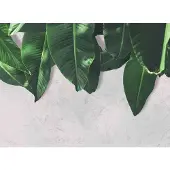 Living Walls Fotobehang Designwalls Leaves Wall 2 (5-delig)