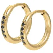 Ixxxi Creolen Hoops Black Goud