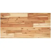 vidaXL Wandschap zwevend olieafwerking 60x40x2 cm massief acaciahout