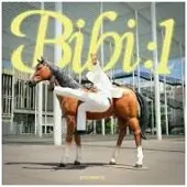 NEWS Porcelain Id - Bibi:1 (LP)