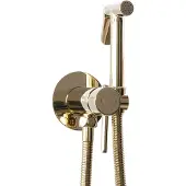 REA Inbouw Bidetmengkraan Lungo Loop Gold