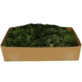 My Village Rendiermos donkergroen 500g