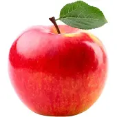 VAN IKKE Muursticker Appel xl