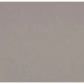 BN Wallcoverings Van Gogh 17122 Bruin Behang