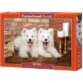 Castorland Samoyed Puppies Say Hello Puzzel (1000 stukjes)