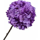Silk-ka Kunstbloem-Zijden Bloem Hortensia Steel Paars-Lavendel 70 cm