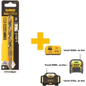 DeWalt DT20619-QZ DT20619-QZ HSS-G Metaal-spiraalboor 1 stuks 13 mm Gezamenlijke lengte 145 mm Corrosiebestendig Zeskant 1 stuk(s)