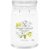 Yankee candle Geurkaars Large Jar Midnight Jasmine Signature 567 Gr